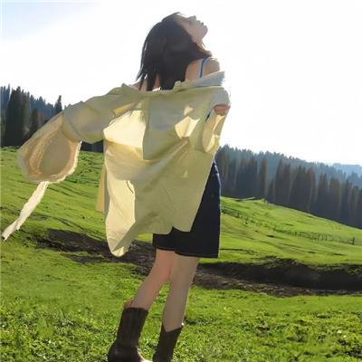 僵尸飞鲨