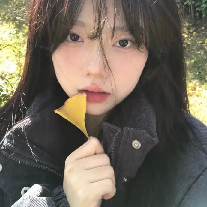 闪耀的火花：烟花的历史